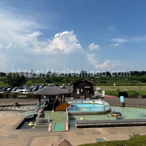 埼玉県立川の博物館(かわはく)のちゃぷちゃぷ島