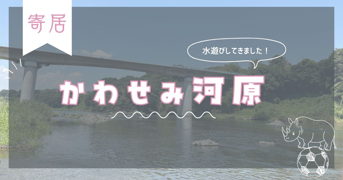 かわせみ河原で水遊び